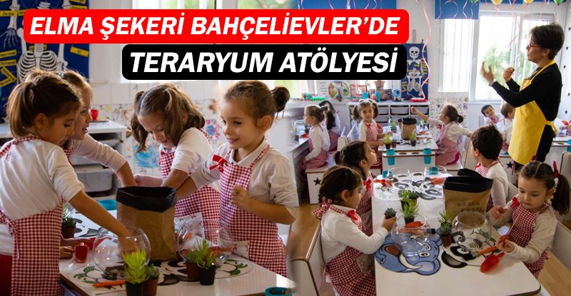 Elma Şekeri Bahçelievler’den Teraryum Atölyesi…