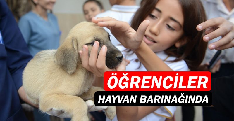 Öğrenciler hayvan barınağında