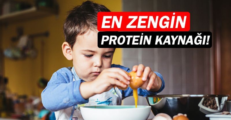 Yumurta, anne sütünden sonra en zengin protein kaynağı